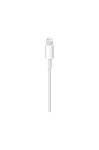 Apple Lightning to USB Cable (0.5 m) im Sale