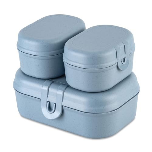 Koziol Lunchboxes Set of 3 PASCAL READY MINI Lunchboxes Plastic Blue on Sale