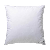 Thumbnail for Billerbeck Daunenkissen Gabriela 15 – Kissen in 80 x 80 cm - Kopfkissen mit mittlerer Stützkraft im Sale