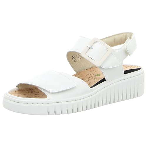 955001-152 Willow multi im Sale