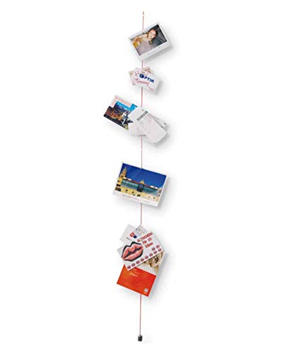 COLOR card leash blue on sale