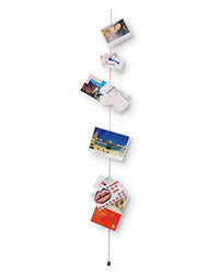 Thumbnail for COLOR card leash blue on sale