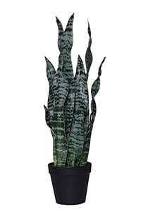 Thumbnail for VIVANNO artificial plant lucky bamboo Zamioculcas artificial ZAMI 100 cm on sale