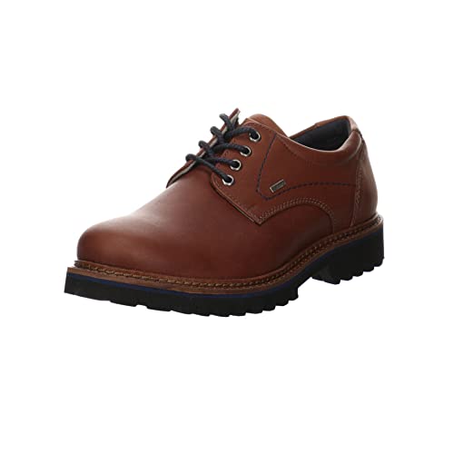 Sioux adult Adalrik braun im Sale