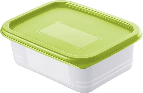 Rotho Domino set of 4 freezer containers 0.5l with lid, plastic (PP) BPA-free, green/transparent, 4 x 0.5l (15.7 x 11.8 x 5.5 cm) on sale