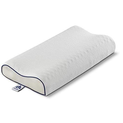 Irisette Nackenstützkissen Piet Maxi - Ergonomischer Viscoschaumkern Mit Extra Einlegeplatte 40x80 cm im Sale