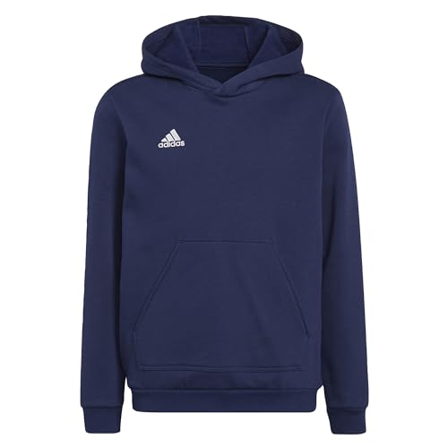 adidas Unisex Kinder Entrada 22 Sweat Hoodie, Black, 152 im Sale