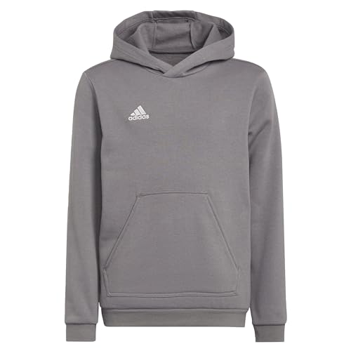 adidas Unisex Kinder Entrada 22 Sweat Hoodie, Team Grey Four, 116 im Sale