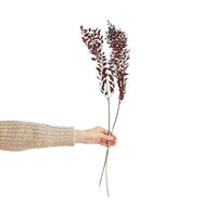 Thumbnail for BUTLERS Flower Market Dried Flowers Ruscus Length 70cm on Sale