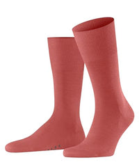 Thumbnail for FALKE Men's Socks Airport So Wool Cotton Plain 1 Pair, Red Lobster 8862, 43-44 on Sale
