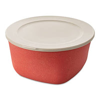 Thumbnail for CONNECT BOX 4 with lid 4l nature coral on sale