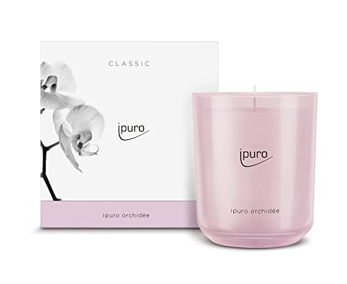 ipuro - decorative ipuro orchidée scented candle - minimalist scented candles in a 270 g glass jar - intense scented candles with fruity fragrance notes - elegant candle for a puristic fragrance experience on sale