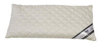 Thumbnail for fan Frankenstolz 03880-11024-19 Spelt pillow / Medisan Sleep & Care / 040 x 080 cm on sale