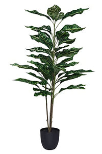 Thumbnail for Artificial Dieffenbachia Zebra Leaf in Gloria Pot 100 cm on Sale