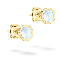 Thumbnail for Tamaris ear studs TJ-0429-E-07 IP Gold on sale