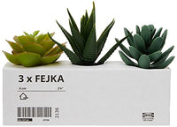 Thumbnail for Ikea Artificial Potted Plant with Pot, for Indoors and Outdoors, 203.953.31, Succulent on Sale