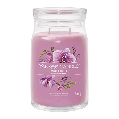 Yankee Candle Signature Duftkerze | große Kerze mit langer Brenndauer „Wild Orchid“ | Soja-Wachs-Mix | Perfekte Geschenke für Frauen im Sale