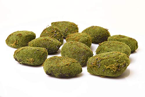 VIVANNO set of 12 moss sponge moss stone decorative moss moss ball MOOSY 10 cm on sale