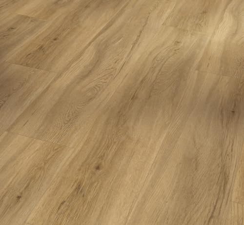 Parador Vinyl Basic 5.3 - Vinylboden Eiche Sierra Natur - Hochwertiger. elastischer Bodenbelag in Holz-Optik. leise und komfortabel mit Klick-Verlegung - mit V-Fuge im Sale