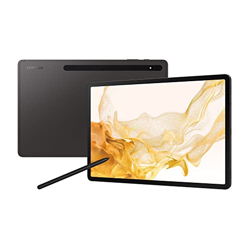 PlanšetÄ— Samsung Galaxy Tab S8+ (2022) 12.4 128GB SM-X800 Gray (SM-X800NZAAEUE) on sale