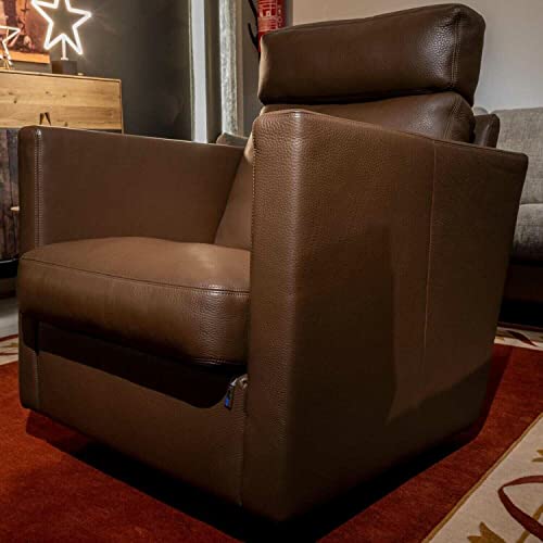 Erpo Sessel CL 580 Leder 450.086 Cigar Tellerfuß Schwarz im Sale