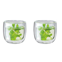 Thumbnail for ZWILLING 39500-077-0 tea glass Transparent 2 pc(s) 240 ml on sale