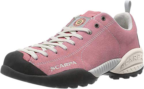 Scarpa Herren Mojito Traillaufschuhe, Cipria BM Spider, EU im Sale