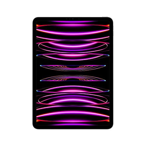 2022 Apple 11 iPad Pro (Wi-Fi, 256 GB) - Space Grau (4. Generation) im Sale
