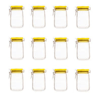 Thumbnail for Invero 12 Stück wiederverwendbare Einmachglas-Beutel mit Reißverschluss, luftdicht, auslaufsicher, verschließbar, ideal für Küche, Picknick, Gewürze, Leckereien, Reisen, Camping und mehr (12 x 8 cm) im Sale