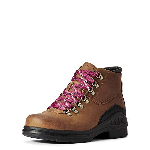 ARIAT Barnyard Donna H20 Twin Gore II - Marrone Antico, 7 UK im Sale