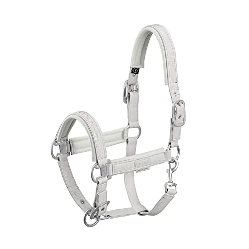 Eskadron Platinum Halfter Doublepin Croco in pearlgrey, im Sale