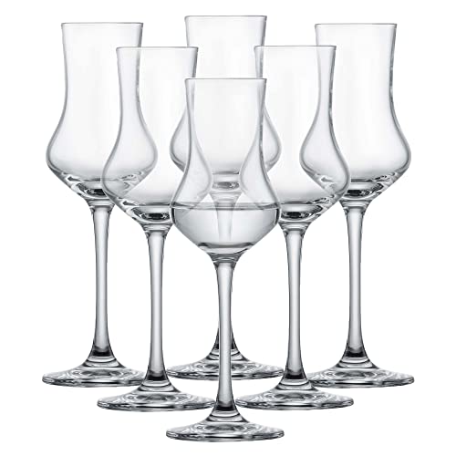 SCHOTT ZWIESEL Grappaglas Classico (6er-Set), klassische Schnapsgläser mit Stiel, spülmaschinenfeste Tritan-Kristallgläser, Made in Germany (Art.-Nr. 106225) im Sale
