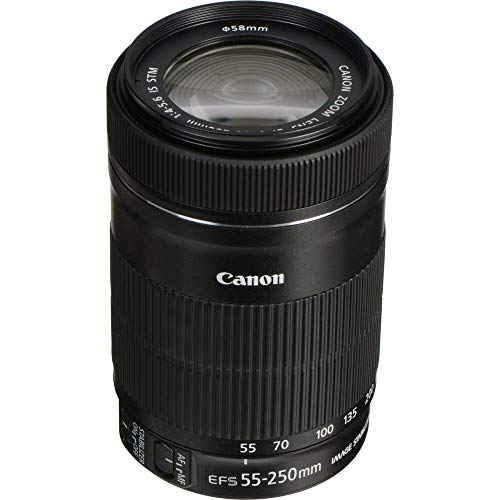 Canon EF-S 55-250mm F4-5.6 IS STM lens for Canon SLR cameras on sale