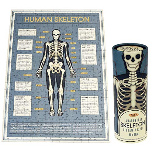 REX LONDON Puzzle Körper Human Box Röhre Mehrfarbig (28202 im Sale