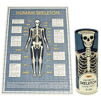 Thumbnail for REX LONDON Puzzle Körper Human Box Röhre Mehrfarbig (28202 im Sale