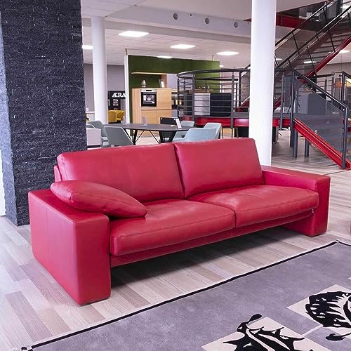 Erpo Garnitur Classics Sofas Leder 450.150 Rot im Sale