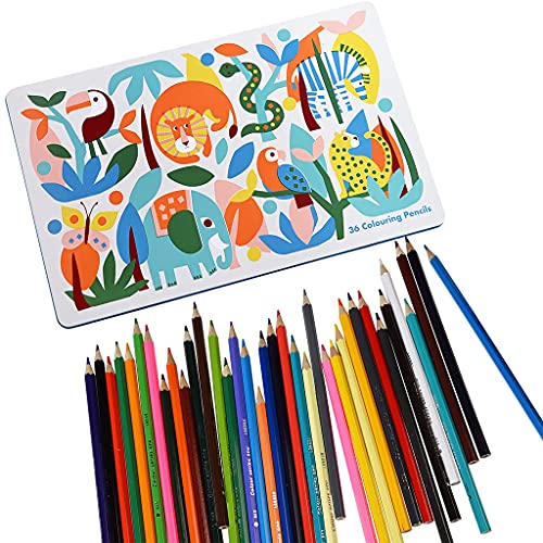 Rex London – Buntstifte in der Dose „Wild Wonders“ (36 Bleistifte) im Sale