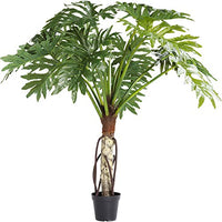Thumbnail for Kare Design Pflanze Big Monstera Deko, 80 x 175 x 80 cm im Sale
