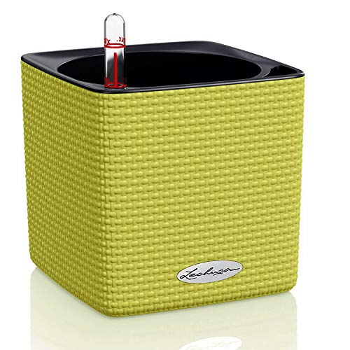 LECHUZA CUBE Color 14 13385 Kräutertopf, Hochwertiger Kunststoff, Inkl. Stick-Bewässerungssystem, für Innenraumbegrünung geeignet, limettengrün im Sale