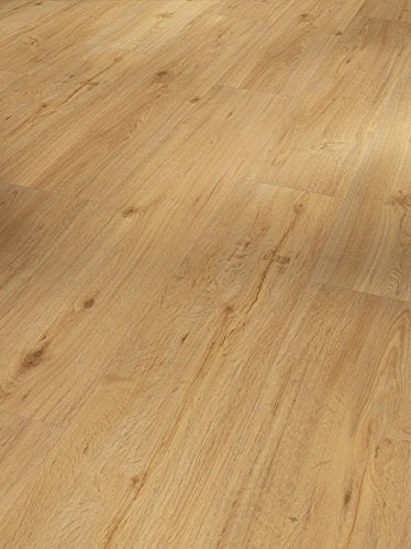 Parador Vinyl Basic 30 - Vinylboden Eiche natur - Hochwertiger. elastischer Bodenbelag in Holz-Optik. leise und komfortabel mit Klick-Verlegung - mit V-Fuge im Sale