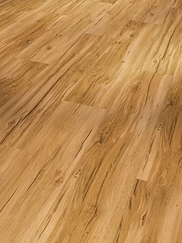Parador Designboden Vinyl Basic 5.3 Eiche Memory natur Gebürstete Struktur Landhausdiele 4-seitige Fase im Sale