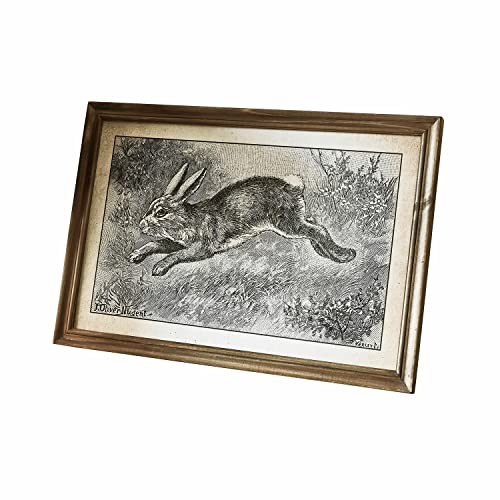Loberon Dekoboard Trista, reizender Nostalgie-Druck, im Stil Einer Vintage-Zeichnung, Osterhase, Ostern, Osterdekoration, Wohn-Accessoire, Wanddeko, Kiefernholz, braun im Sale